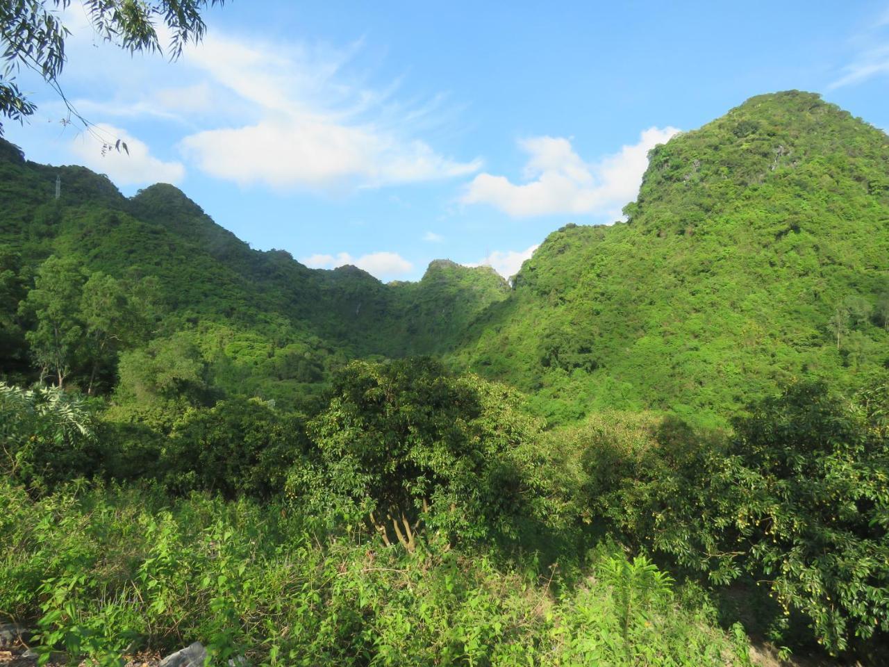 Cat Ba Eco Lodge Resort Hien Hao Exterior photo